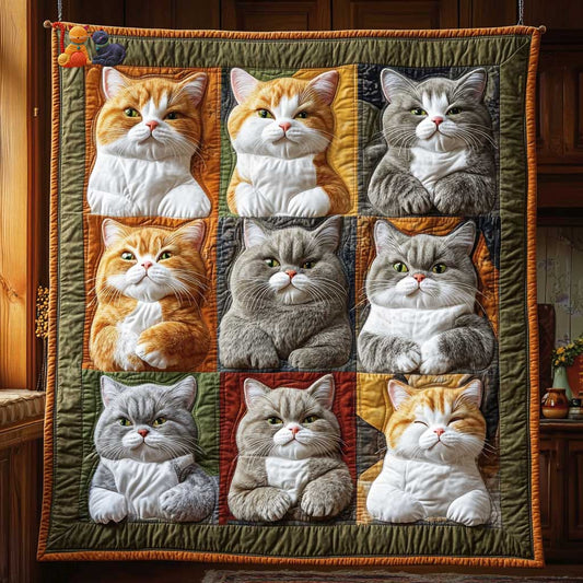 Cat Expressions WN2910019CL Quilt